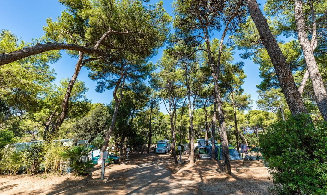 olbia dans le camping