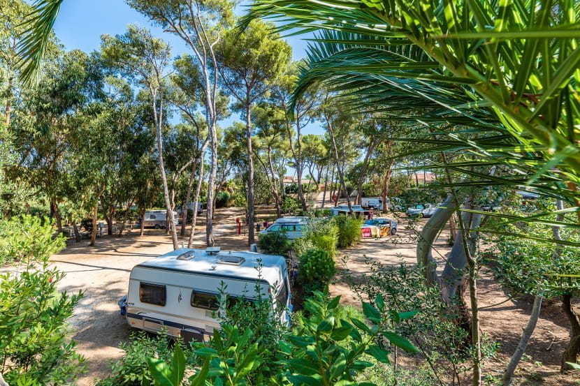 Camping Nature Olbia Vacances Giens