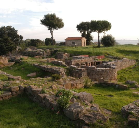 Fouilles du site Archéologique d'Olbia