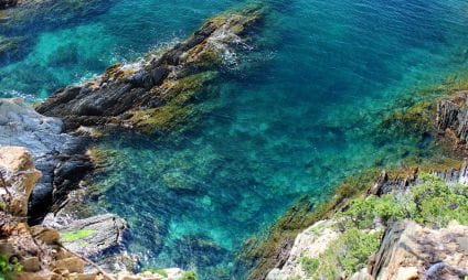 Cap de l'Estérel