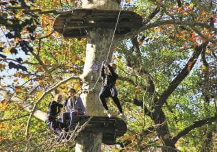 Arrampicarsi sugli alberi e saltare