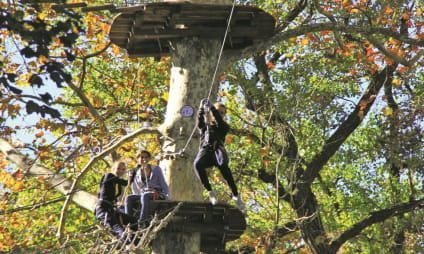 Arrampicarsi sugli alberi e saltare