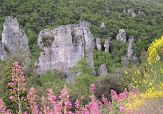 Trekking - Les Aiguilles de Valbelle