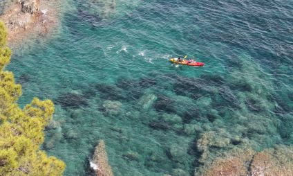 Kayak de mer (Sud)