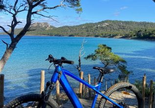 Noleggio biciclette - Porquerolles